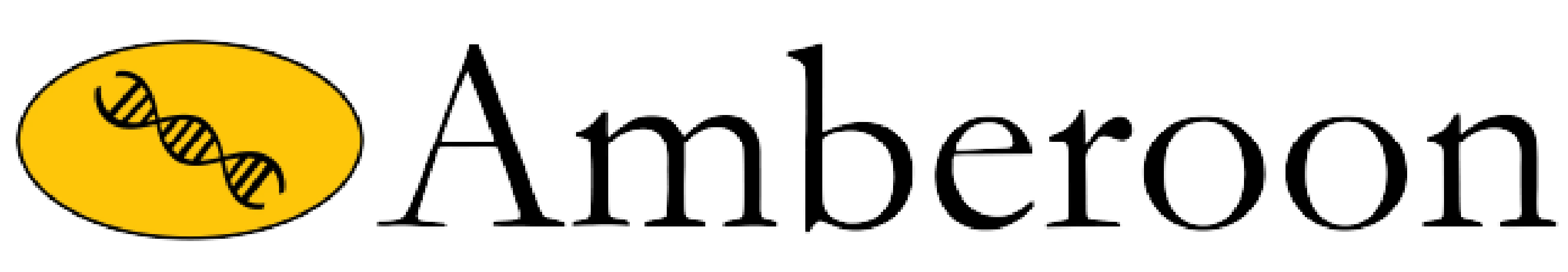 Amberoon logo for css